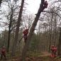 Tree rescue - Rope Rescue Team VRU